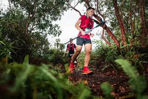 BIB: 
                            <button type="button" onclick="openModal(26209795)" class="btn btn-primary btn-sm float-right btn-popup" data-toggle="modal" data-target=".modal-high-quality">
                        <i class="fas fa-shopping-cart"></i> Add to Cart
                    </button>
                                            <button type="button" onclick="isThisMe(26209795, true)" class="btn btn-success btn-sm float-right btn-popup btn-isme hidden" data-toggle="tooltip" data-placement="bottom" title="นี่คือรูปของคุณใช่ไหม คลิกที่นี่เพื่อเอาเข้าอัลบั้ม">
                        <i class="fas fa-plus"></i> Add to album
                    </button>
                    <button type="button" onclick="isThisMe(26209795, false)" class="btn btn-warning btn-sm float-right btn-popup btn-isnotme hidden">
                        <i class="fas fa-ban"></i> Remove from album
                    </button>